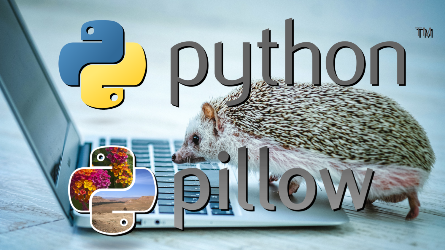 Paste an Image Into a Predefined Area with Python Pillow